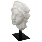 Aphrodite Greek Goddess of Love Bust